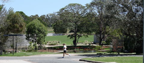 Mt Penang Gardens - Tourism Brisbane 1