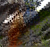 Mystery Face Walking Track - Tourism Brisbane
