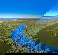 Noosa Everglades - Brisbane Tourism