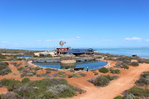 Ocean Park Aquarium - Tourism Brisbane 1