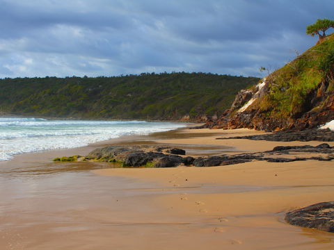 One Man Bluff - Tourism Brisbane 1