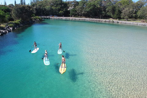Paddleboard At Back Creek South West Rocks - Brisbane Tourism 0