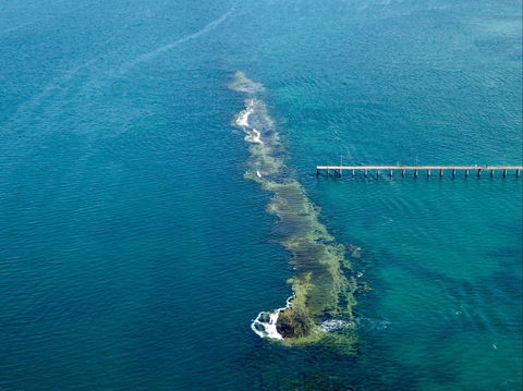 Port Noarlunga Reef Sanctuary Zone - Encounter Marine Park - Tourism Brisbane 0