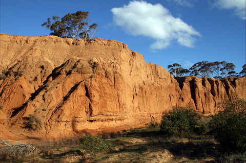 Red Banks Conservation Park - Tourism Brisbane 0
