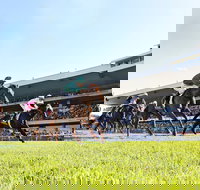 Rosehill Gardens Racecourse - Brisbane Tourism
