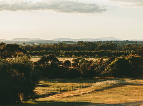 Rutherglen Wine Bottle - Brisbane Tourism 2