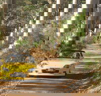 Scotsdale Tourist Drive - Brisbane 4u
