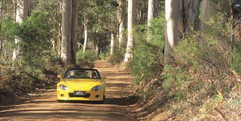 Scotsdale Tourist Drive - Tourism Brisbane 0