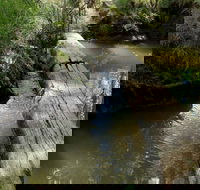 Second Ponds Creek Walk - Tourism Brisbane