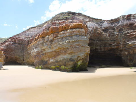 Shelley Caves - Tourism Brisbane 0
