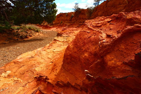 Skytrek - Brisbane Tourism 1