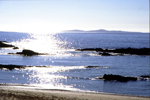 Snorkelling Mystery Bay - Tourism Brisbane 2
