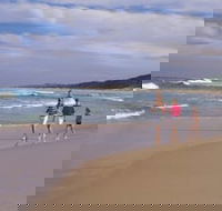Soldiers Beach - Tourism Brisbane