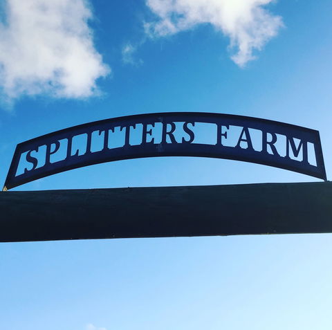 Splitters Farm - Tourism Brisbane 2