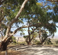Spring Gully Conservation Park - Brisbane Tourism