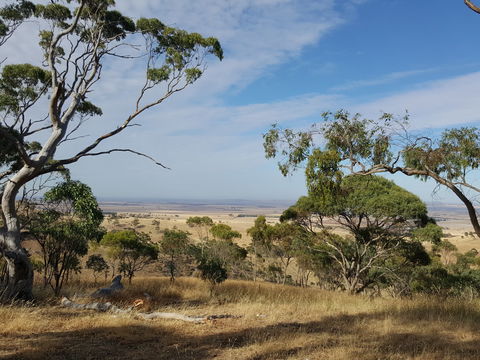 Spring Gully Conservation Park - Tourism Brisbane 1