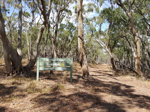 Spring Gully Conservation Park - Tourism Brisbane 2