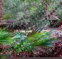 Sugar Creek Picnic Area - Brisbane Tourism