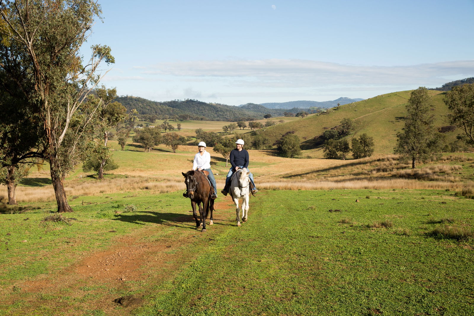 Kootingal NSW Brisbane Tourism