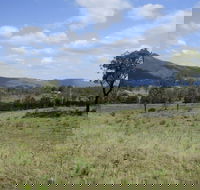Thornton - Tourism Brisbane