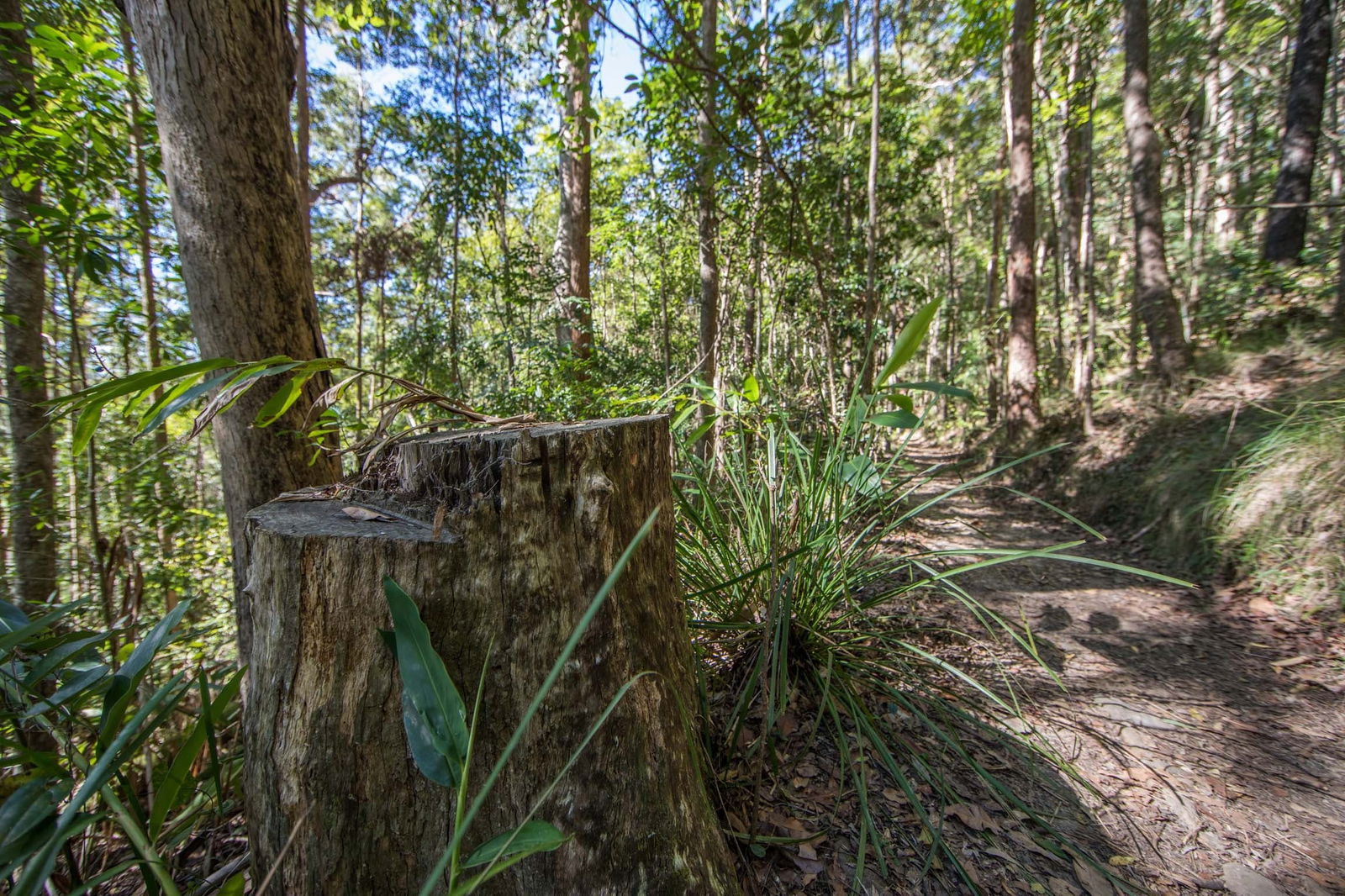 Mount Nebo QLD Tourism Brisbane