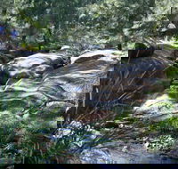 Towarri National Park - Tourism Brisbane
