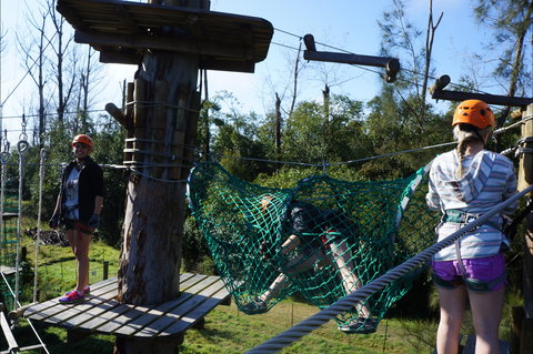 Trees Adventure - Lane Poole Park - Brisbane Tourism 0