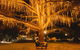 Victory Memorial Gardens - thumb 0