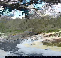Walyunga National Park - Tourism Brisbane