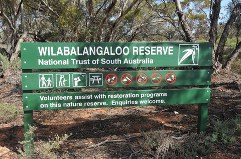 Wilabalangaloo Reserve - Tourism Brisbane 0