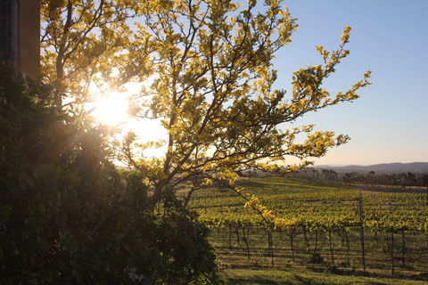 Wine Trail: Queanbeyan-Palerang - Brisbane Tourism 1