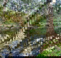 Woko National Park - Tourism Brisbane