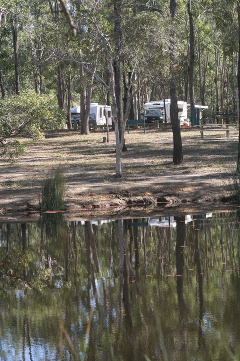 Wongi State Forest - Tourism Brisbane 1