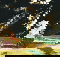 Aberdeen Golf Club - Tourism Brisbane