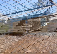 Aboriginal Carvings - Brisbane 4u