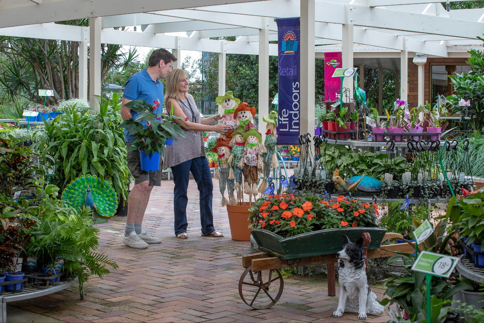 Adare QLD Tourism Brisbane