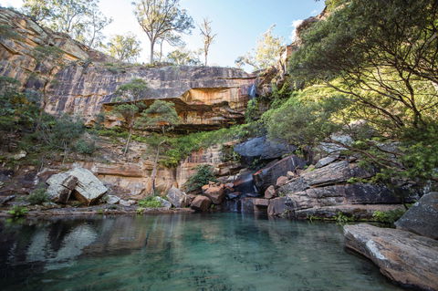Blackdown Tableland National Park - Tourism Brisbane 1