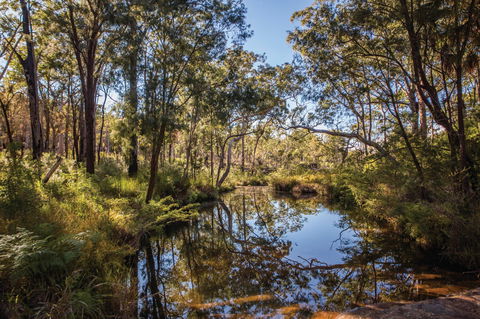 Blackdown Tableland National Park - Tourism Brisbane 2