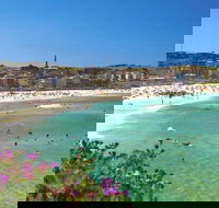 Bondi - Brisbane Tourism