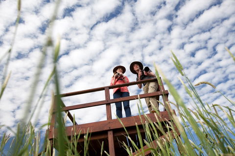 Bool Lagoon Game Reserve And Hacks Lagoon Conservation Park - Tourism Brisbane 1
