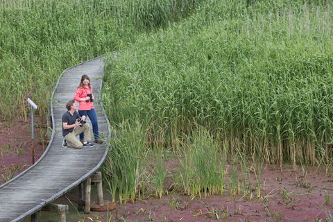 Bool Lagoon Game Reserve And Hacks Lagoon Conservation Park - Tourism Brisbane 2