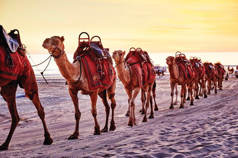 Broome And The Kimberley Coast - Brisbane Tourism 0