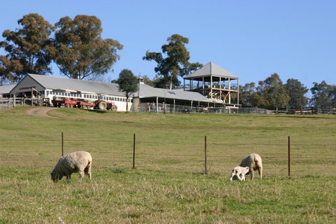 Calmsley Hill City Farm - Brisbane Tourism 0