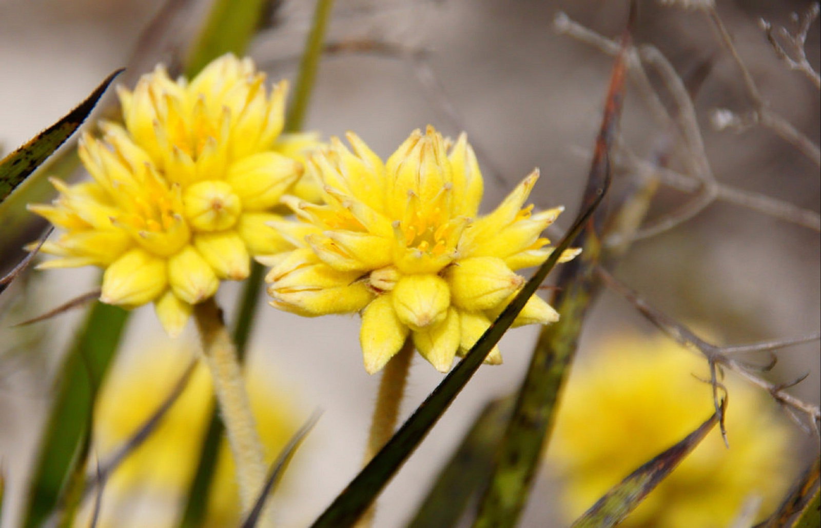 Cataby WA Tourism Brisbane