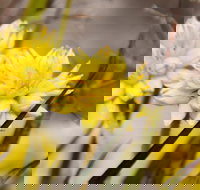 Cataby - Tourism Brisbane