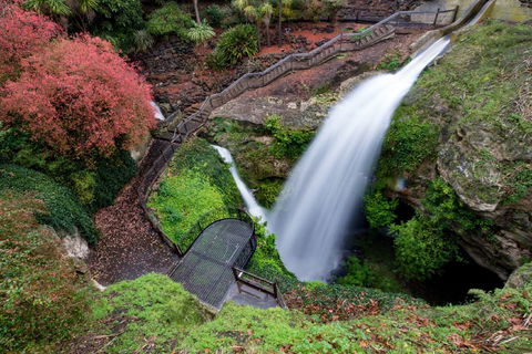 Cave Garden - Tourism Brisbane 0