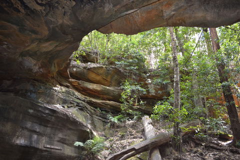 Cave Creek Walking Track - Tourism Brisbane 0