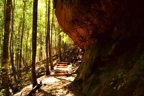 Cave Creek Walking Track - Tourism Brisbane 1