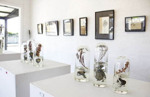 Corner Store Gallery - Brisbane Tourism 2