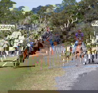 Dayboro - Tourism Brisbane